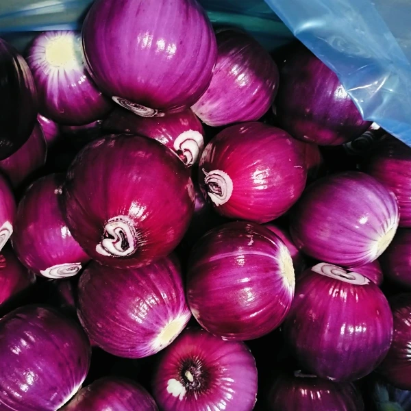 Huaang Food Processing wen markaandeel met stabiele kwaliteit