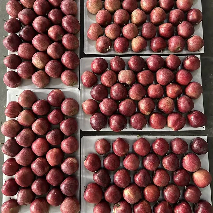 Helder Rooi Ster Appels