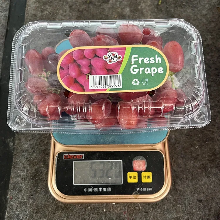 Voer Graad Vars Crimson Seedless Druiwe uit