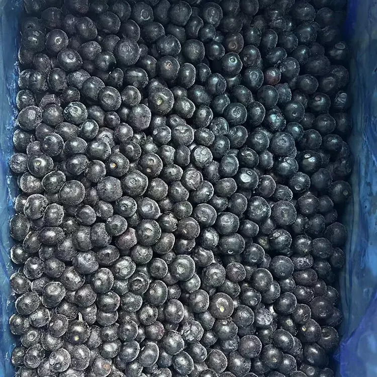 Bevrore Blueberry Premium IQF Bloubessies