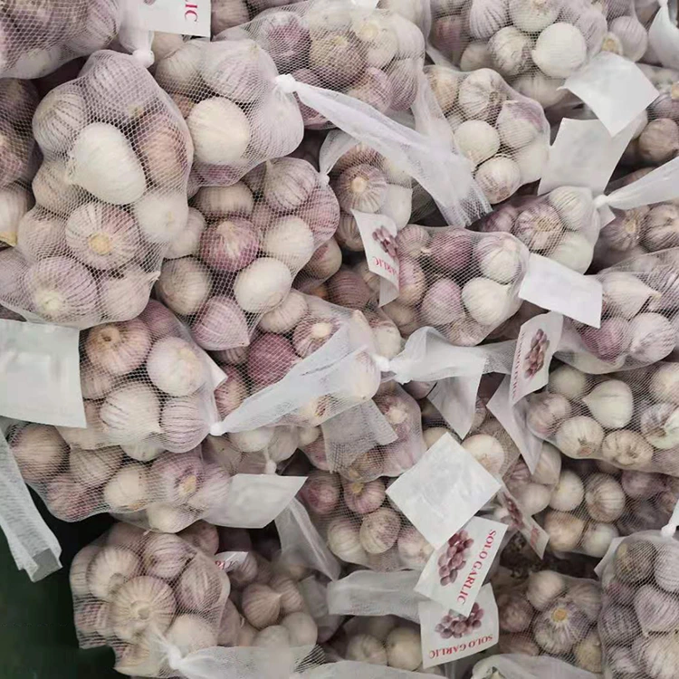 Hoë kwaliteit Enkel Knoffelhuisie