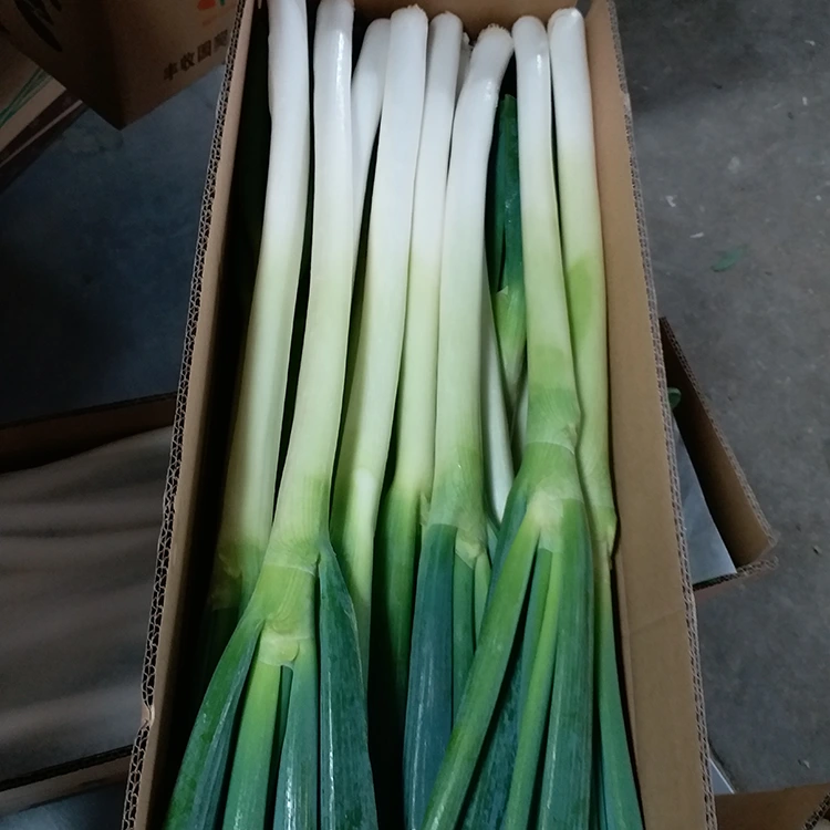 Natuurlik gekweekte groen uie