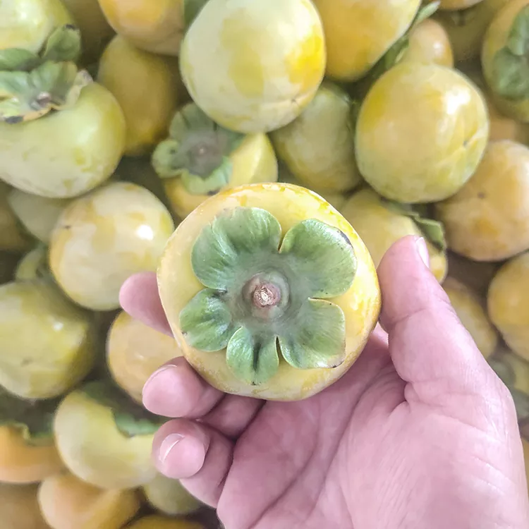 Premium vars skerp persimmon