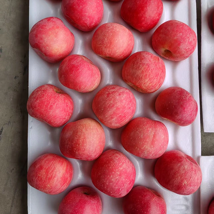 Premium vars Fuji-appels