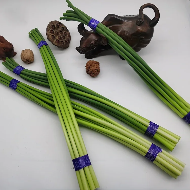 Premium vars knoffelscapes