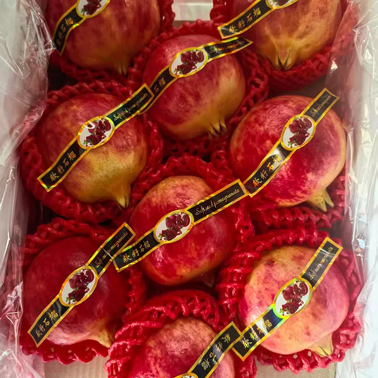 Premium Tunisiese sagtepitte granate