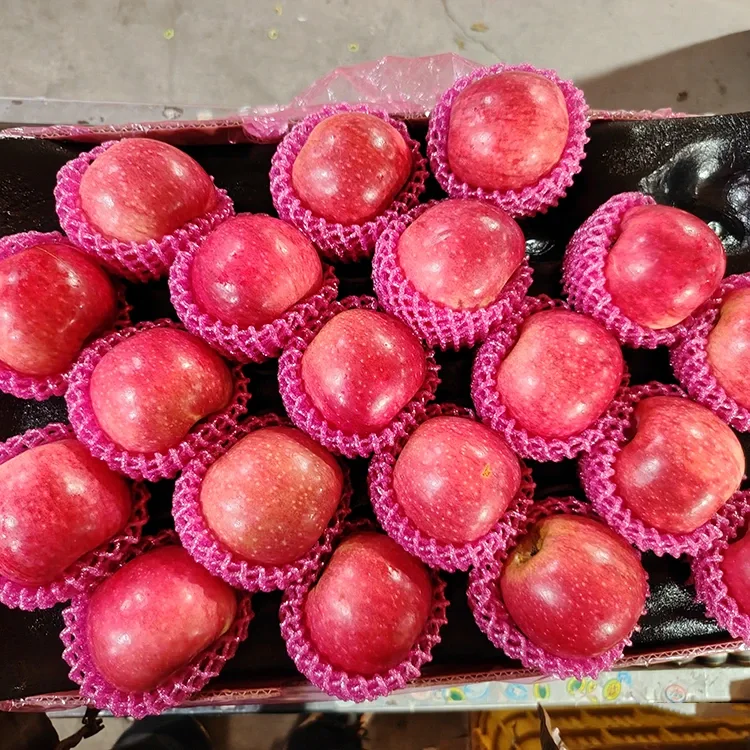 Uitstekende vars Jiguan Appels